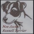 Silhouette jrt 1